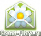Логотип компании Доставка цветов Гранд Флора (ф-л г.Звенигород)